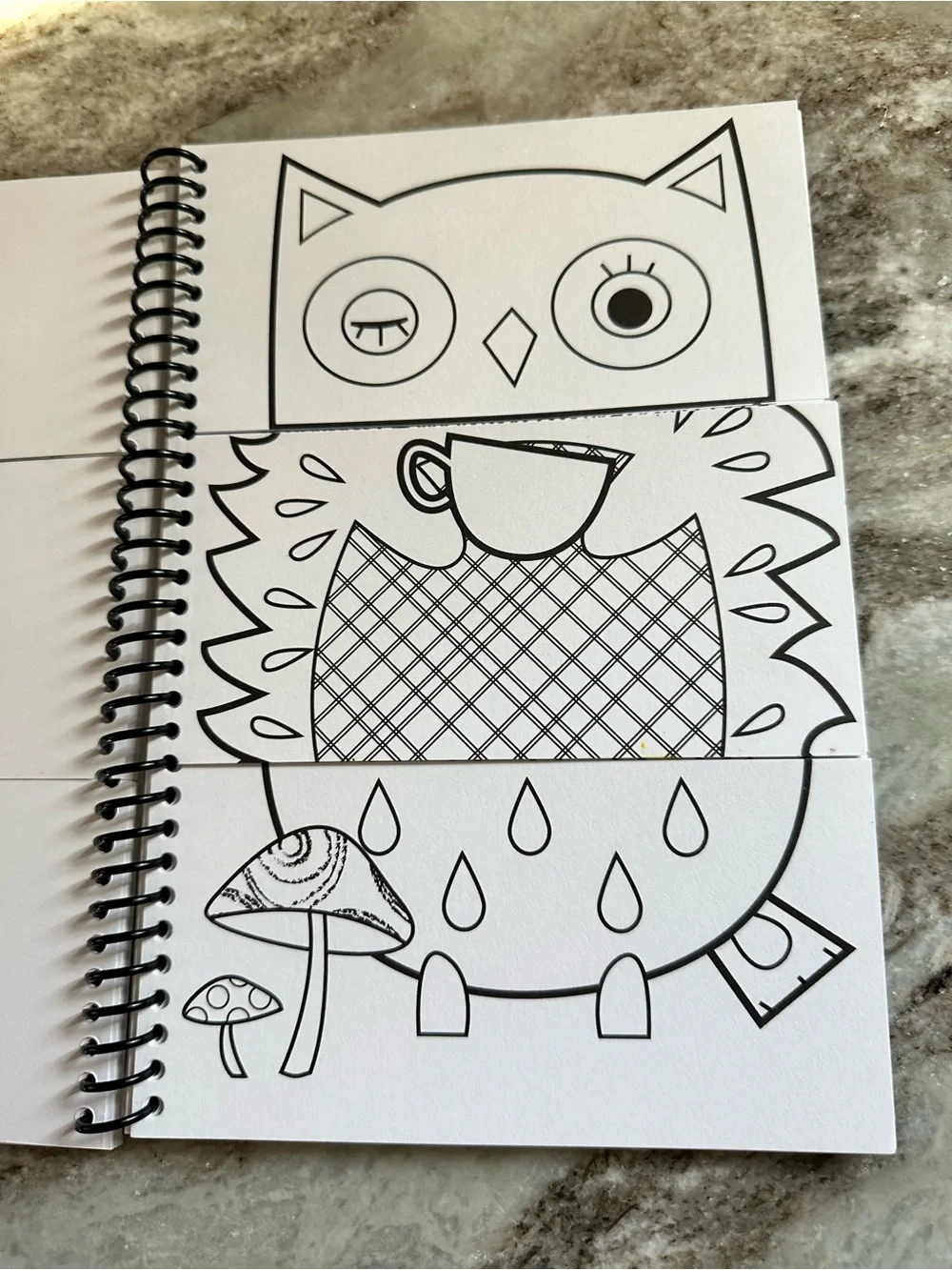 Color & Flip Book Spiral coloring Notebook with Playful Owl Design